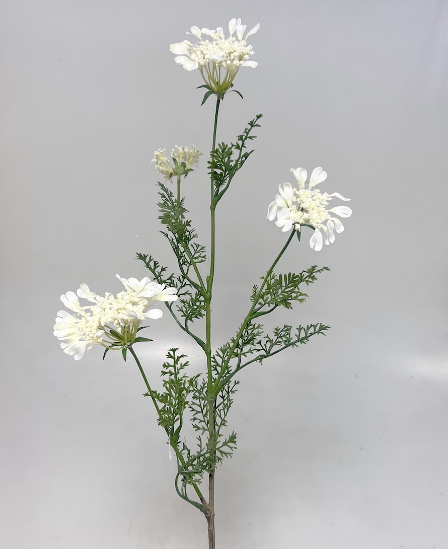 Crocus x3 33cm 36/288