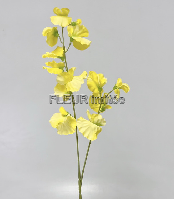 Hrachor 58cm 12/144
