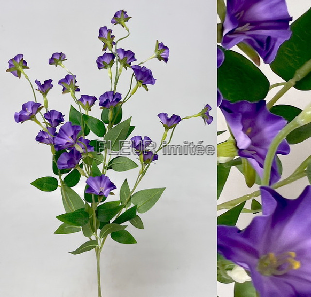 Clematis x4 89cm  18/180