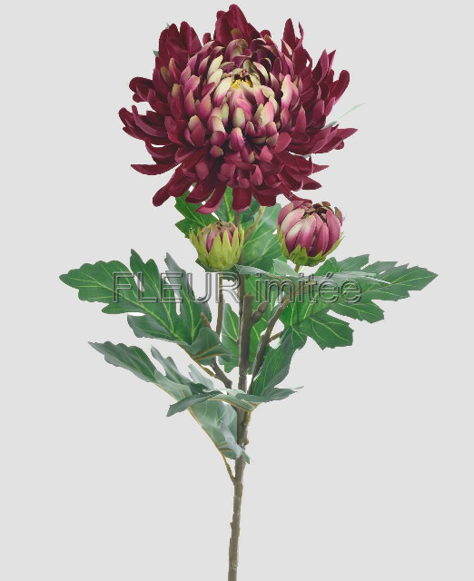 Chryzantéma x3 LUX 88cm 24/192