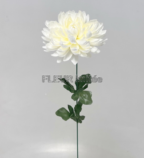 Chryzantéma x1 65cm S774 12/144