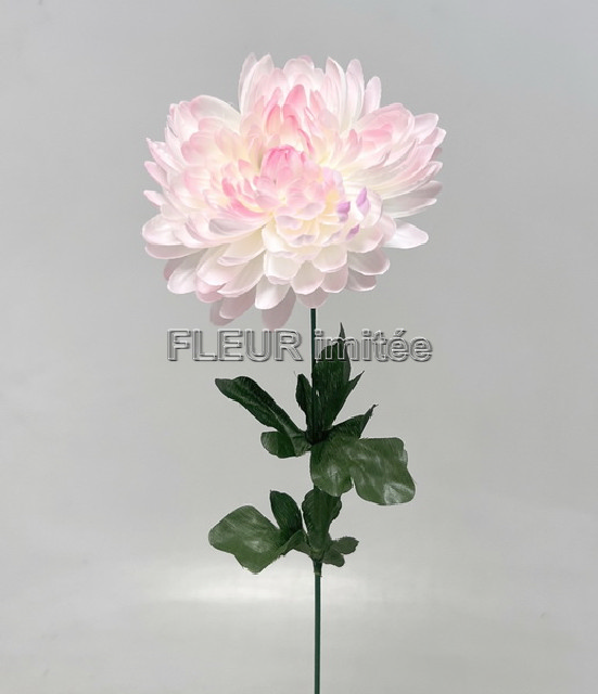 Chryzantéma x1 65cm S774 12/144