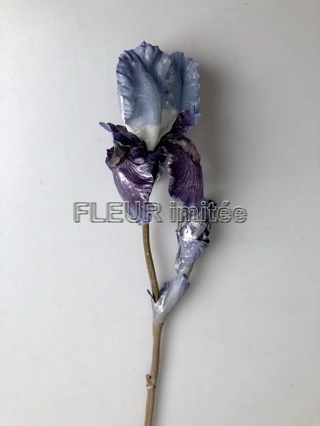 Iris ván. Metal. 78cm 8/72