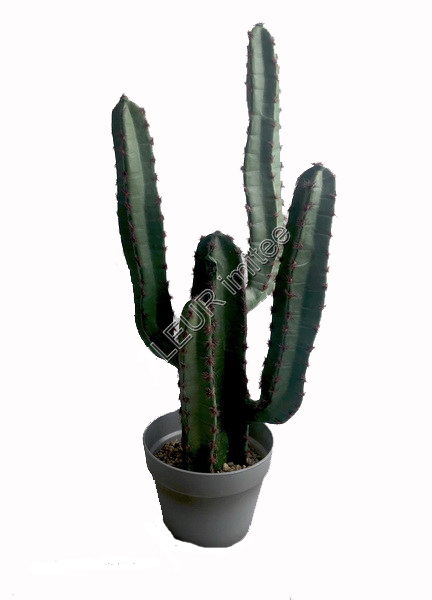 Kaktus Euphorbia 62cm 2/6