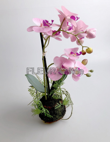 Orchidea v balu 45cm 12/36