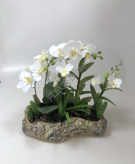 Orchidea v květ.42cm 1/4