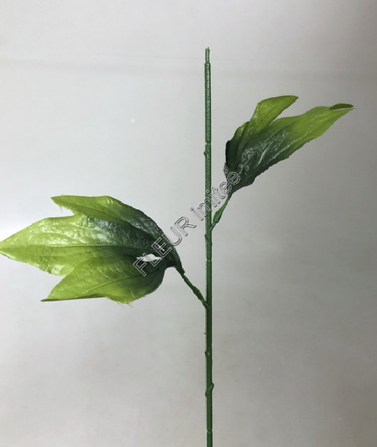 Stonek pivoňka 2listy 60cm 24/1440