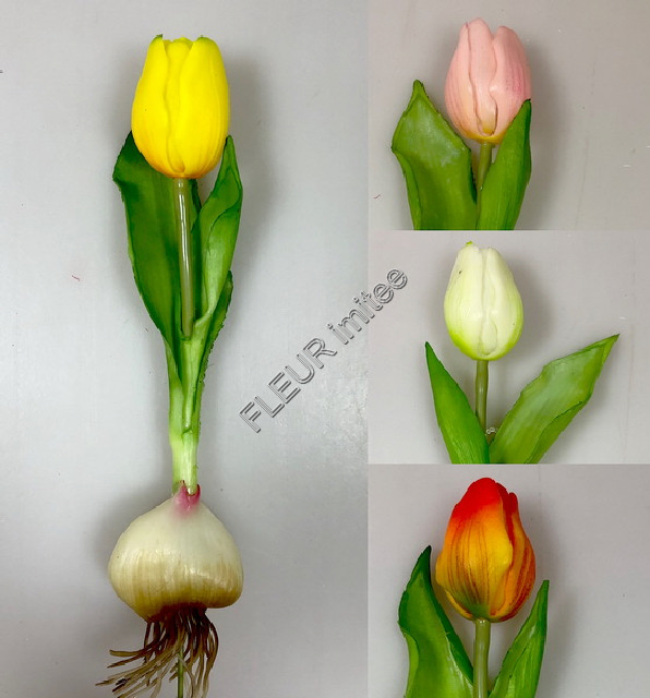 Tulipán s cibulkou 17cm 36/144
