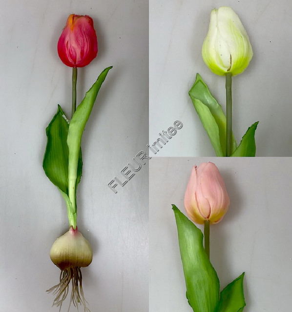 Tulipán s cibulkou 25cm 24/144