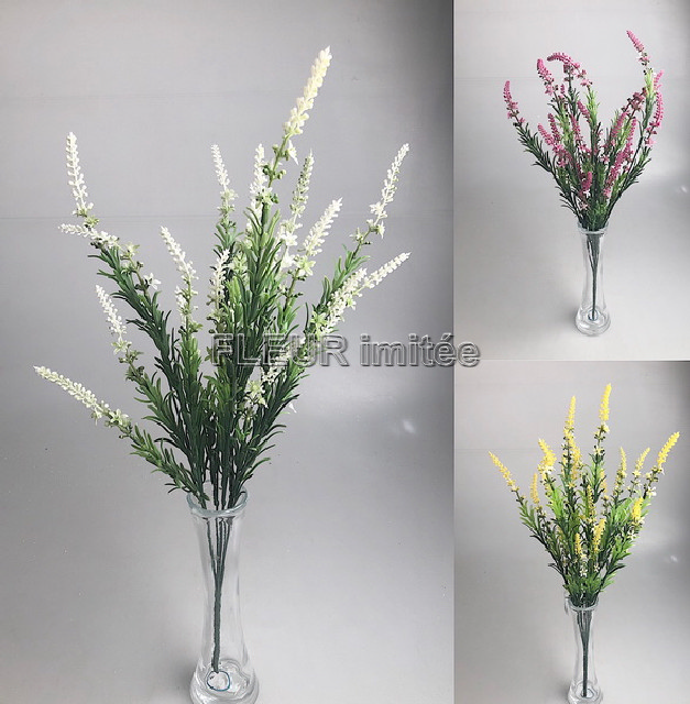 Waxflower x7 60cm  24/144