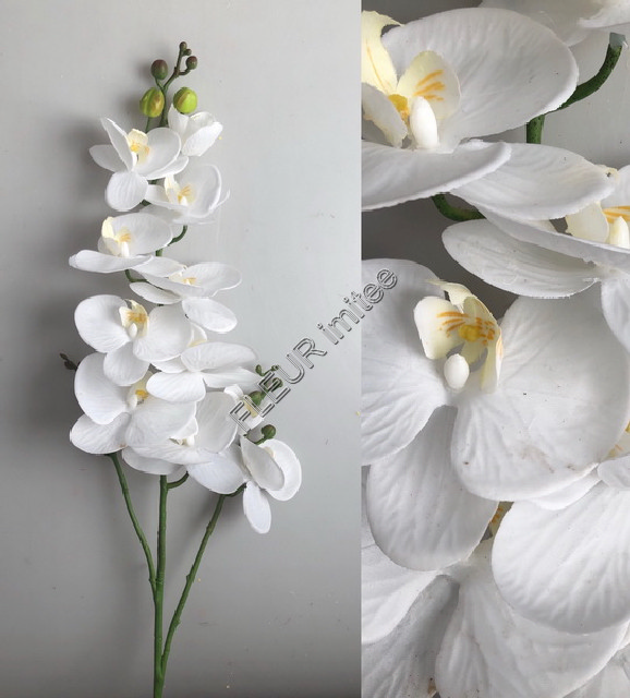 Orchidea latex 120cm 8/48