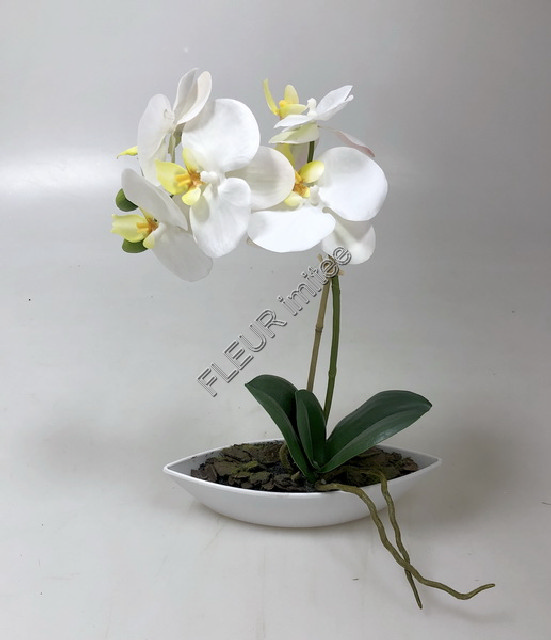Orchidea v misce 27cm 12/48