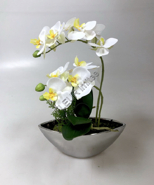 Orchidea v ker.misce 40cm 6/24