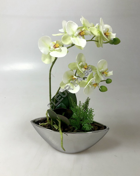 Orchidea v ker.misce 40cm 6/24