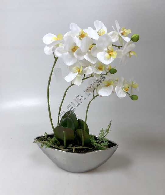 Orchidea v ker.misce 54cm 4/12
