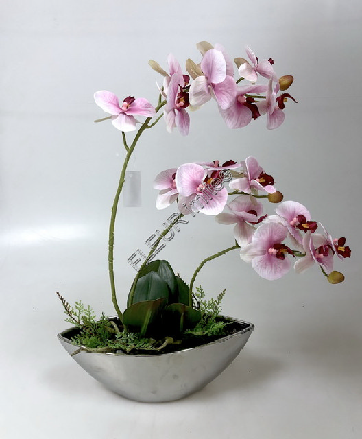 Orchidea v ker.misce 54cm 4/12
