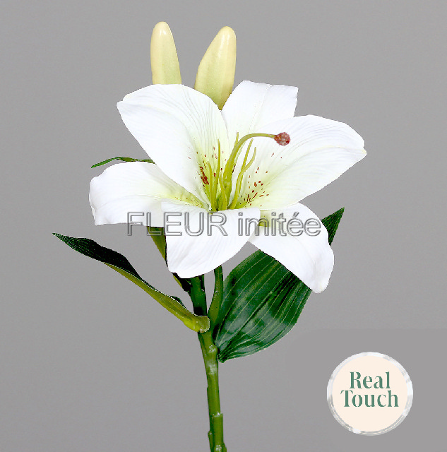 Lilie  x3 36cm  24/192