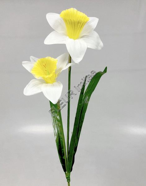 Narcis x2  69cm  24/192