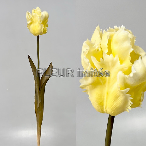 Tulipán PUR 45cm 24/144